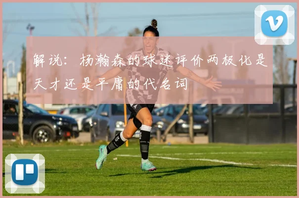 解说：杨瀚森的球迷评价两极化是天才还是平庸的代名词