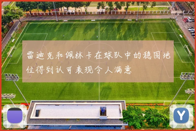 雷迪克和佩林卡在球队中的稳固地位得到认可表现令人满意