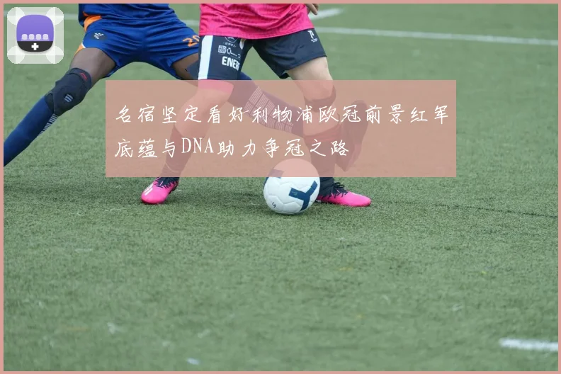 名宿坚定看好利物浦欧冠前景红军底蕴与DNA助力争冠之路