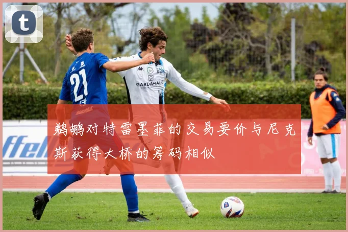 鹈鹕对特雷墨菲的交易要价与尼克斯获得大桥的筹码相似