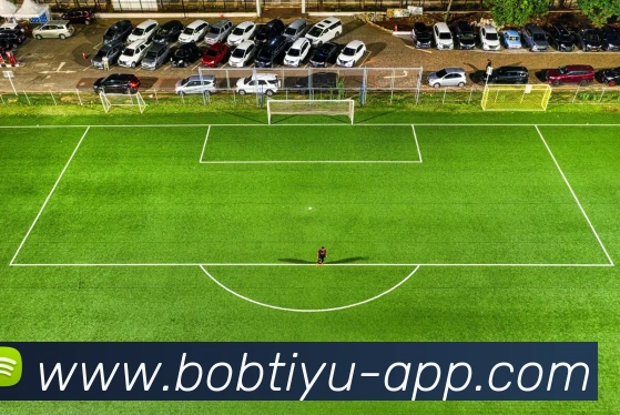 多媒体互动体验